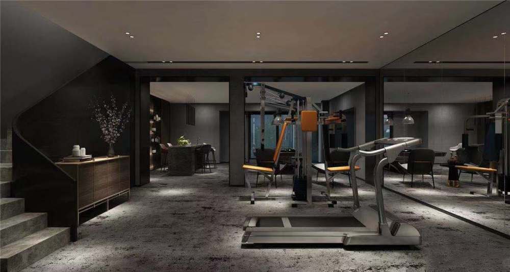 別墅健身房 別墅健身房